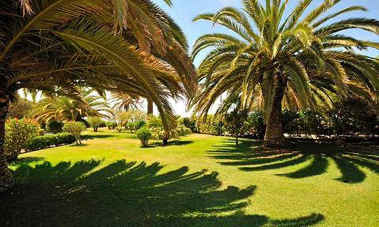 Torralta Alvor Beach 601 Eksteriør bilde